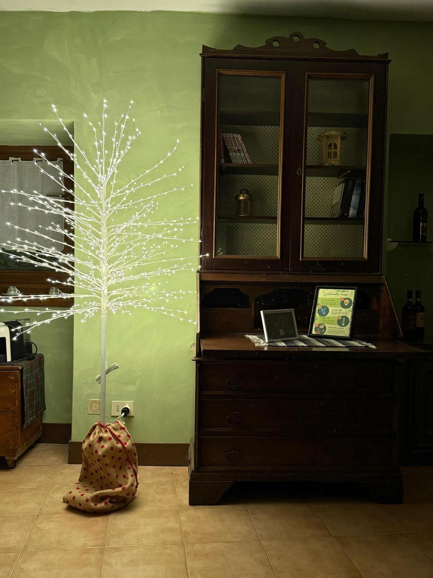 Casa Del Borgo: Appartamento Immerso Nel Verde A/C 贝拉诺 外观 照片