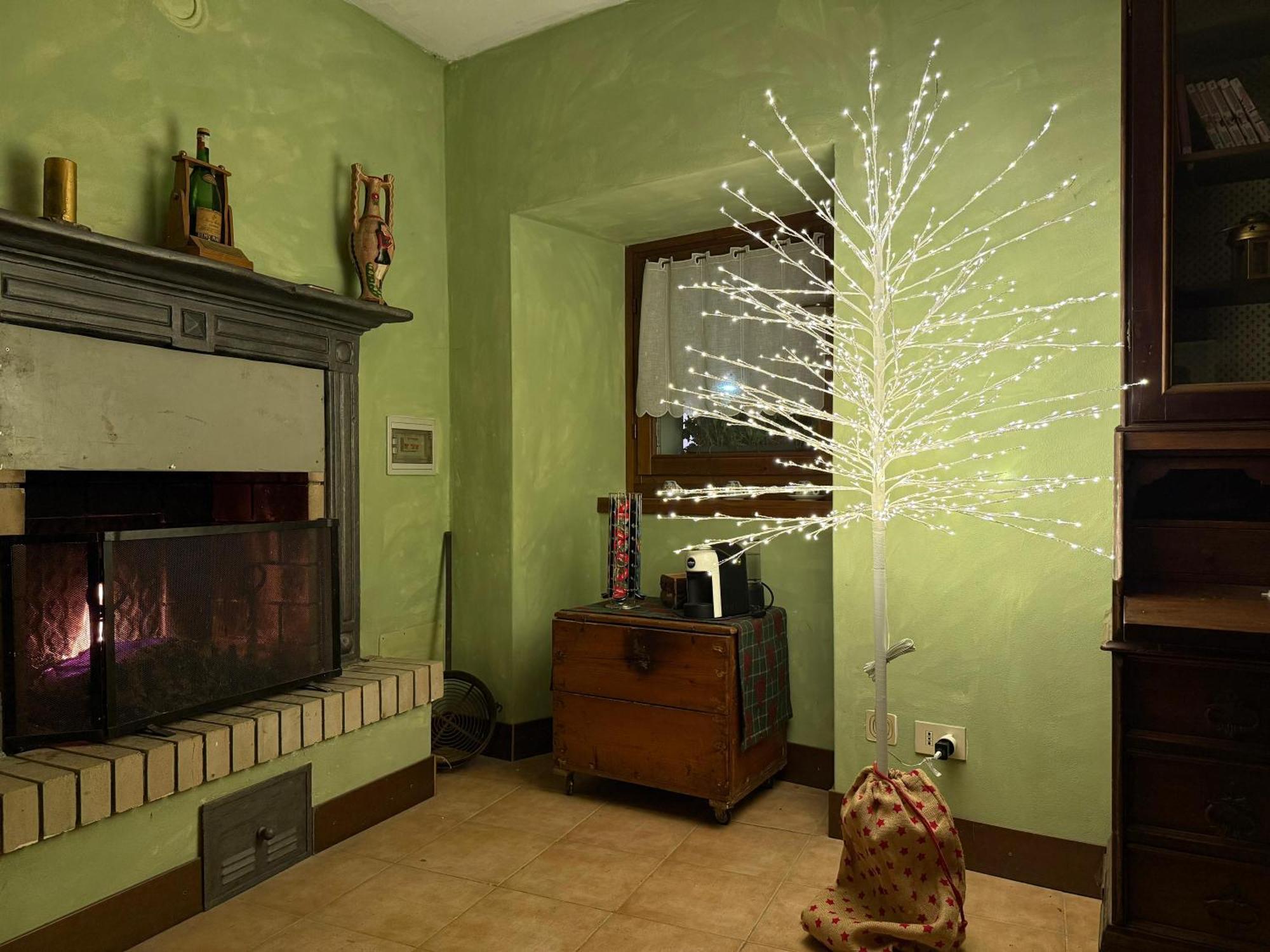 Casa Del Borgo: Appartamento Immerso Nel Verde A/C 贝拉诺 外观 照片