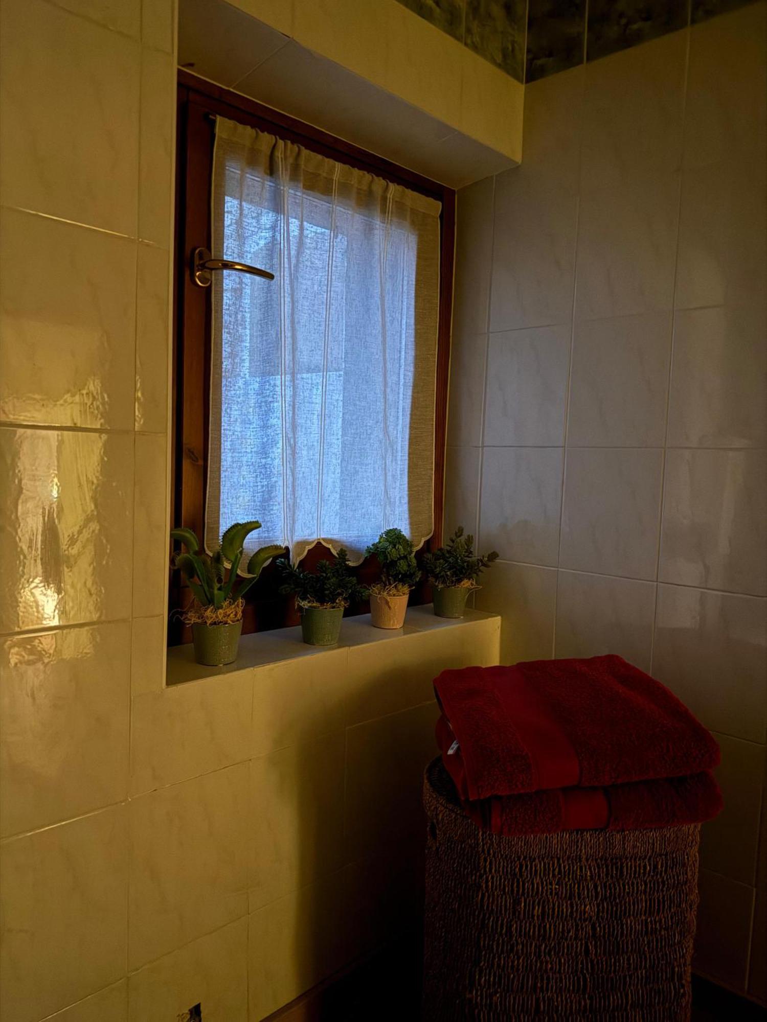 Casa Del Borgo: Appartamento Immerso Nel Verde A/C 贝拉诺 外观 照片